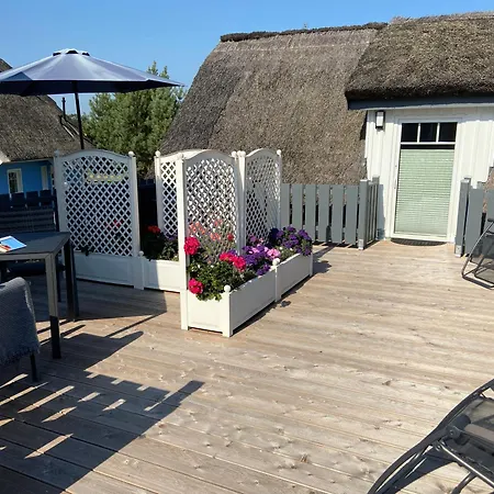 De Luette Leive In *